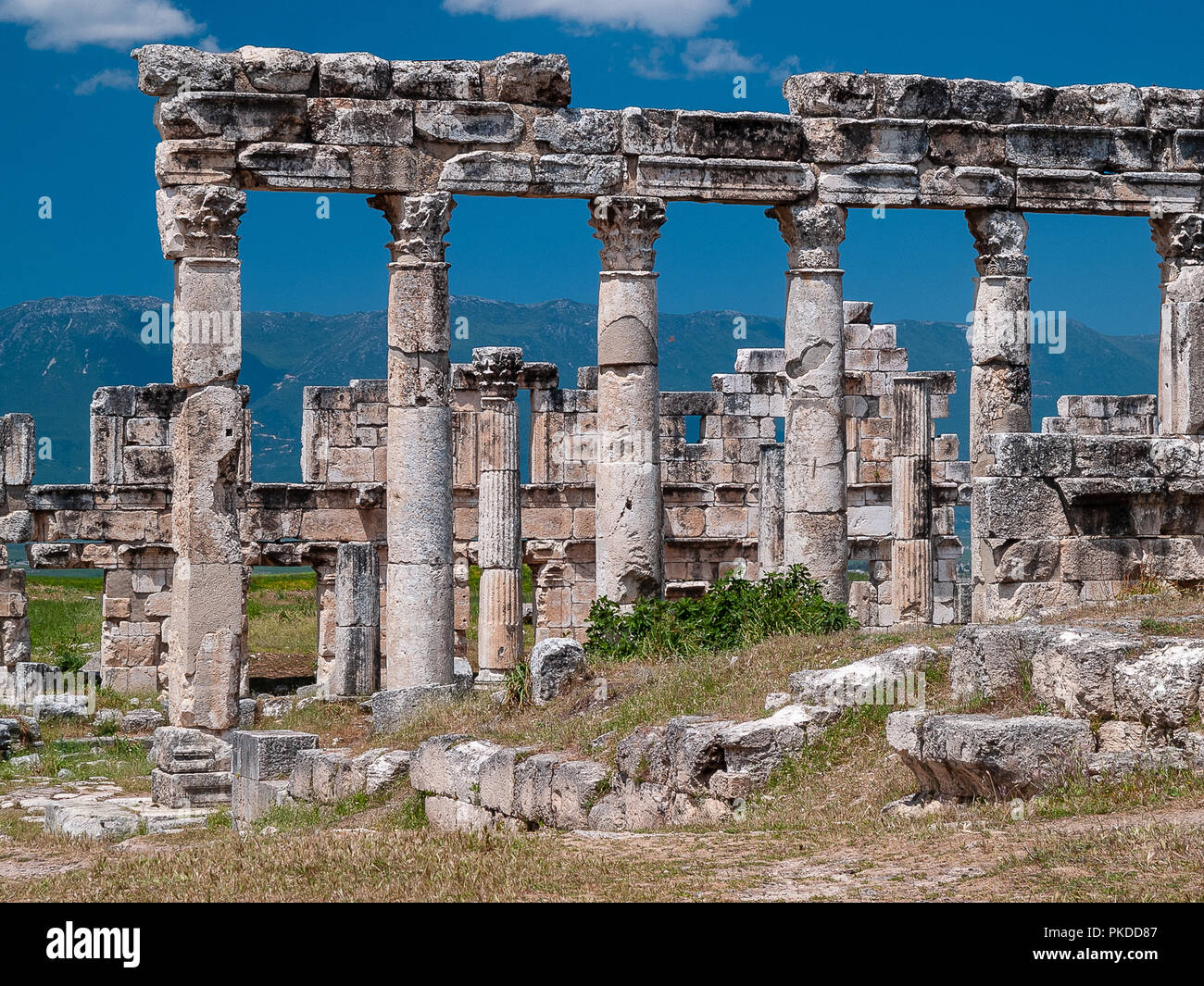 Apamée (également connu sous le nom), l'Afamia grec ancien et ville romaine. Le site est situé près de Qalaat al-Madiq, environ 60 km au nord-ouest de Hama, en Syrie Banque D'Images