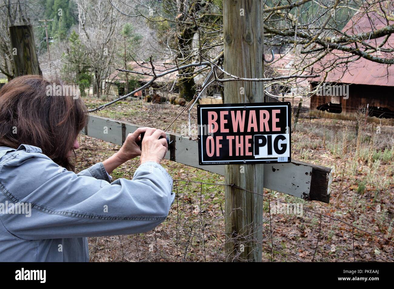 Méfiez-vous des signes de porcs dans les contreforts des montagnes de la sierra Nevada de Californie, avec Nyla James de prendre une photo de téléphone cellulaire Banque D'Images