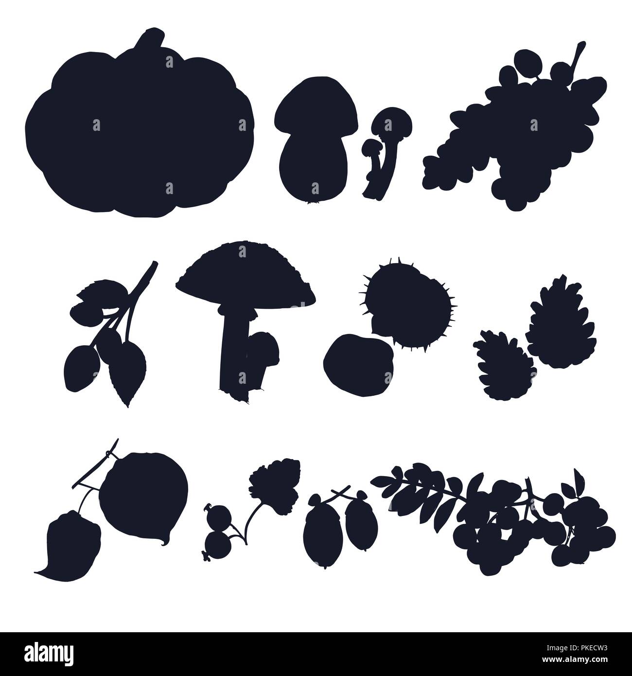 Récolte d'automne vector silhouettes. La récolte d'automne, potiron, champignons, raisins et baies sauvages ombre pour votre conception. Illustration de Vecteur