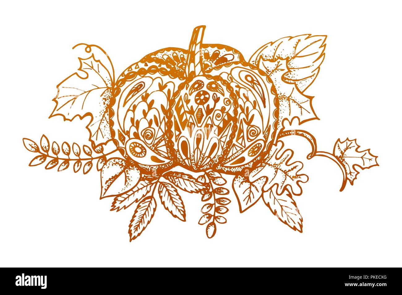 Citrouille stylisé et feuilles isolées sur fond blanc. Orange citrouille décorative dessinés à la main, symbole de l'automne. Illustration de Vecteur