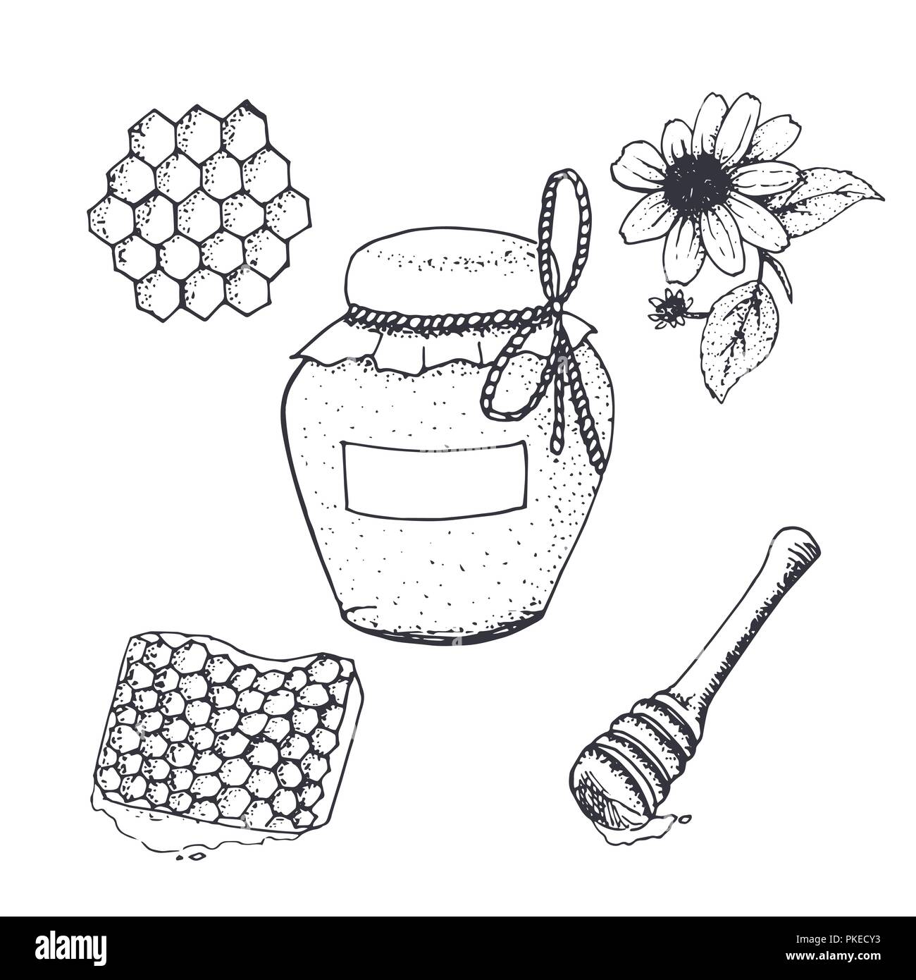 Le miel dans un pot de miel et des croquis. Pot de miel naturel, fleur et stick hand drawn vector. Illustration de Vecteur