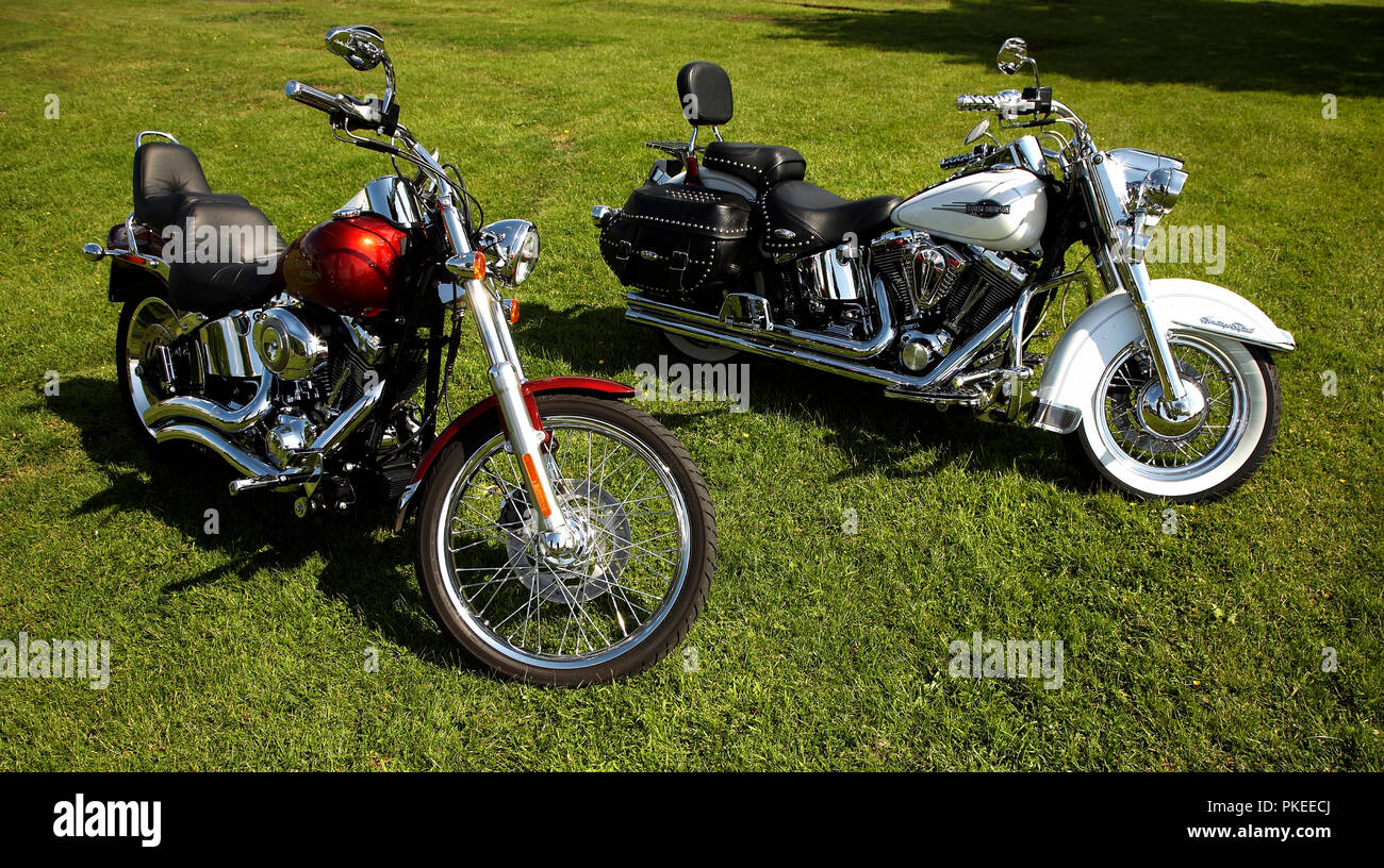 2 motos Harley-Davidson étincelant Banque D'Images