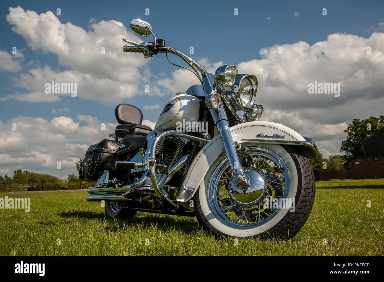 Harley davidson heritage softail motorcycle Banque de photographies et ...