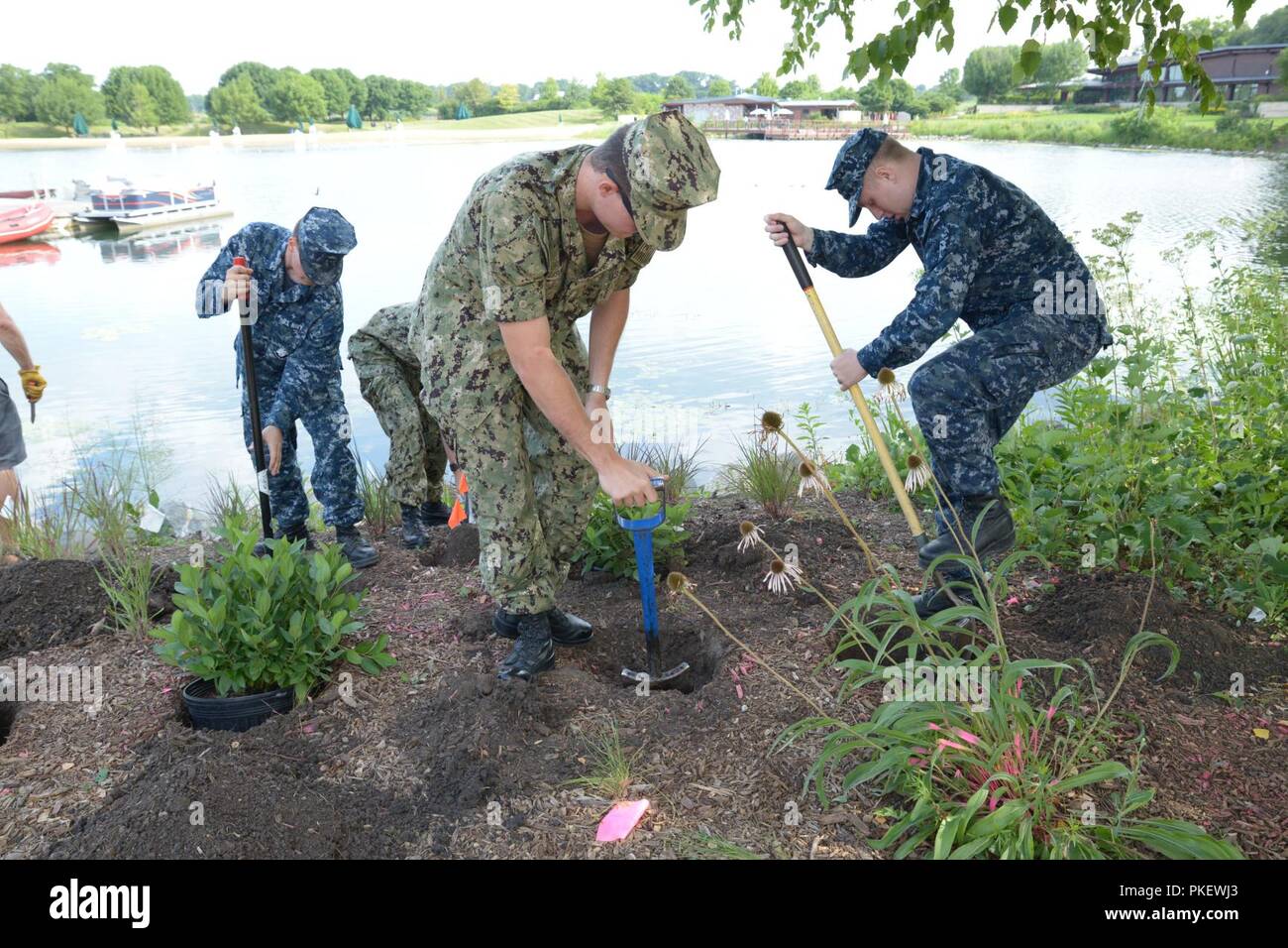 Grands Lacs, mauvais (2 août 2018) Les marins du centre d'appui à la formation des marins de la Coalition contre les décisions destructrices creusent des trous pour les plantes lors de l'indépendance Grove Forest Preserve à Libertyville le 2 août. Tous les jeudis, un groupe de marins par l'aide de la suppression d'espèces de plantes envahissantes et leur remplacement par les plantes indigènes au nord de l'Illinois. Banque D'Images