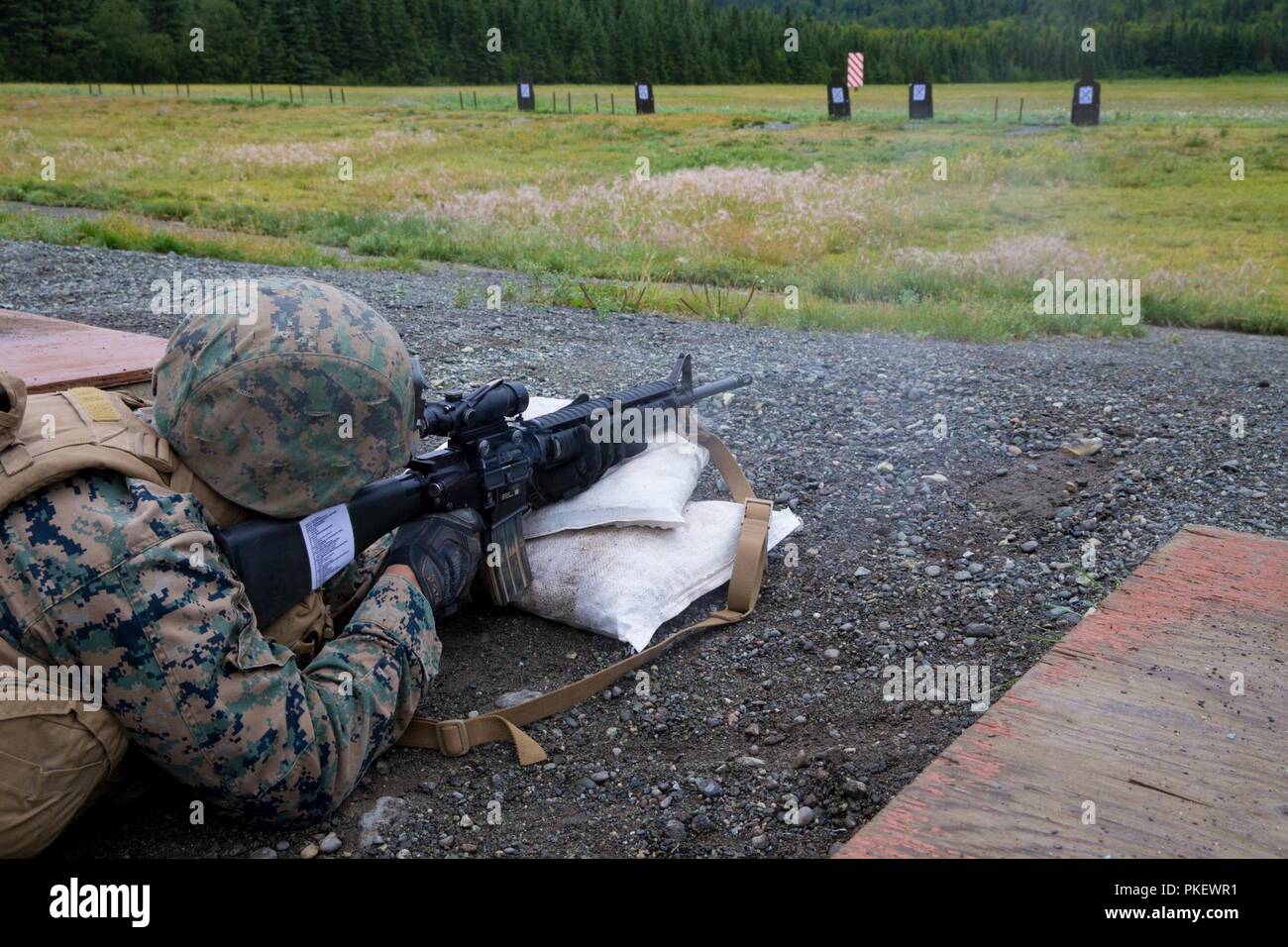 Lance le Cpl. Joel Carrizales, avec la Compagnie Charlie, 1er Bataillon, 25e Régiment de Marines, des zéros dans son fusil à la ligne de 25 verges, Joint Base Elmendorf-Richardson, Anchorage, Alaska, le 1 août, 2018. Super Squad concours ont été conçus pour évaluer un 14-man d'infanterie tout au long d'un vaste domaine et l'évolution de tir réel. Banque D'Images