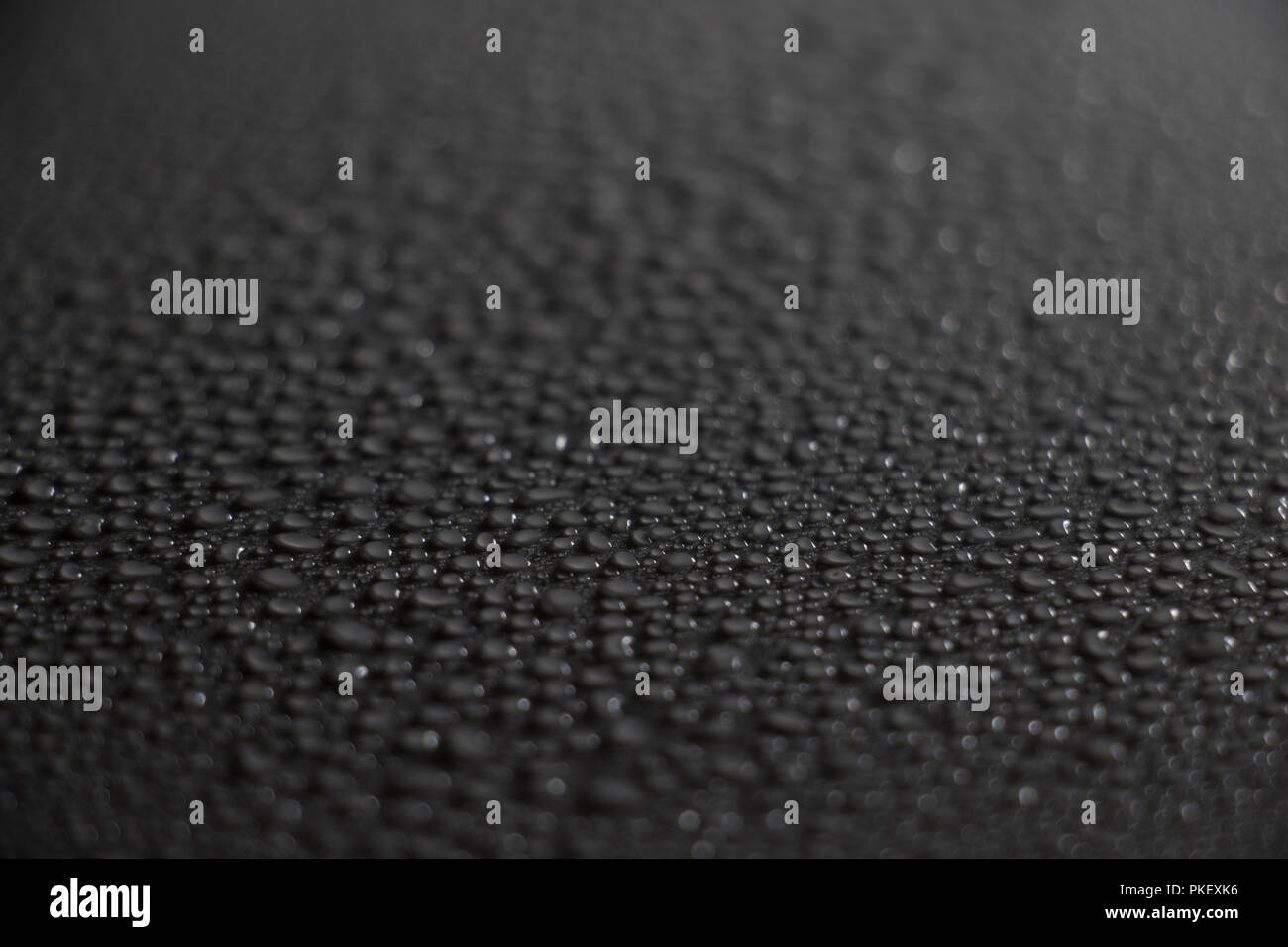 La texture de l'eau après la pluie de l'automne. Bulles de l'eau perle en forme de larme ou brouillard d'eau liquide. Banque D'Images