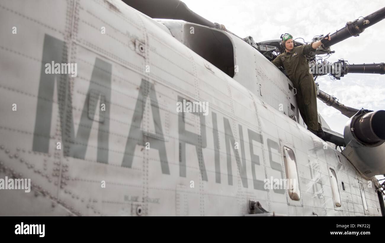 Corps des Marines des États-Unis Le Cpl. Joseph R. Tolliver, un mécanicien de la cellule avec l'Escadron d'hélicoptères lourds Marine (HMH) 461, effectue une inspection après vol sur un CH-53E Super Stallion au cours de l'effort 18-06 à la Raven la préparation au combat au Centre, Gulfport, Mississippi, le 3 août 2018. Raven est un exercice d'entraînement militaire réaliste, dans lequel HMH-461 fournit le soutien aérien des Forces armées, Marine Corps Special Operations Command. Cet exercice permet à l'escadron pour mener la mission de base et la formation professionnelle pour améliorer leur état de préparation au combat dans le groupe de travail air-sol marin. Le CH-53E Super Etalons et Banque D'Images