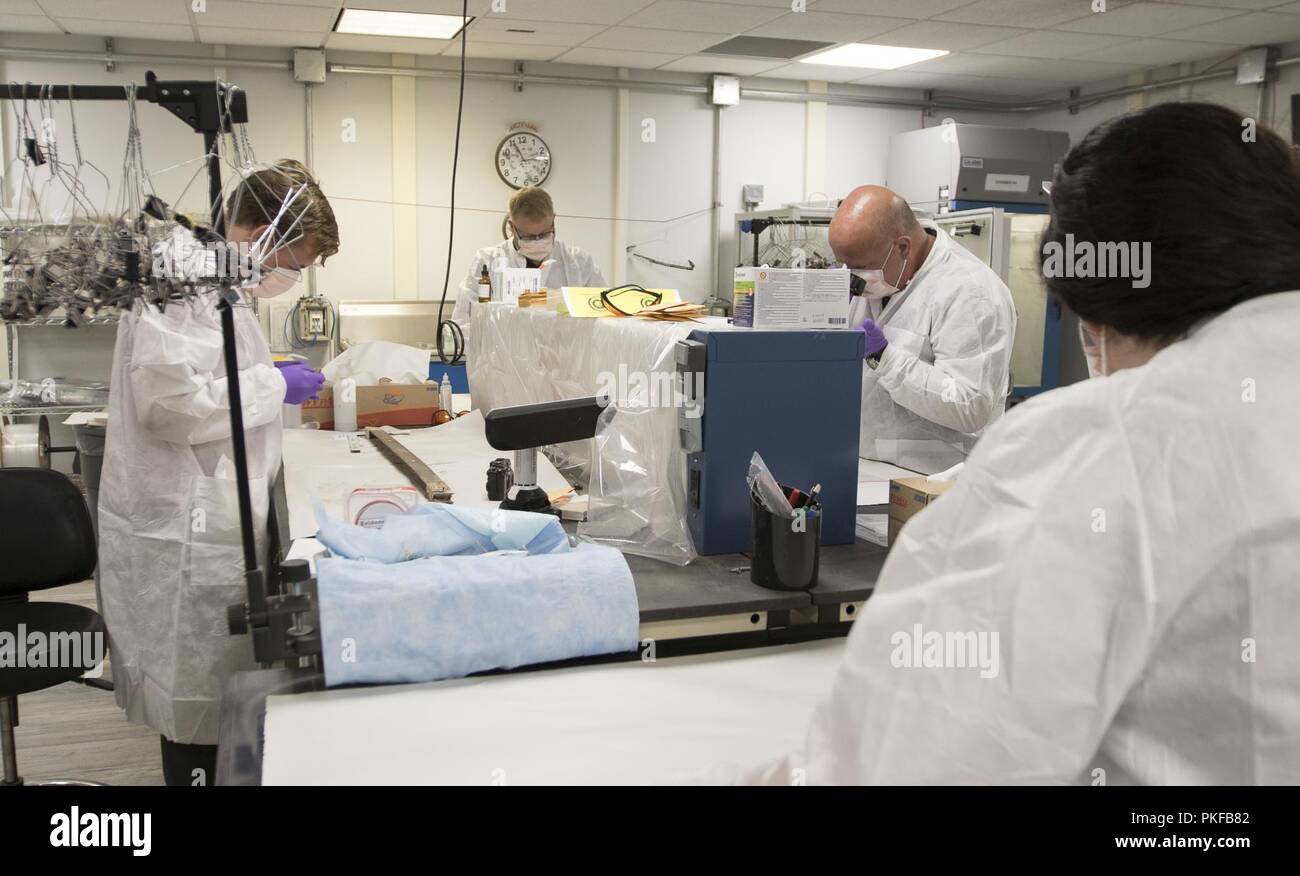 Un groupe d'examinateurs d'impression latente affectés à l'exploitation scientifique - Laboratoire Central Command, travaillent côte à côte pour extraire des échantillons de matériau ennemis capturés au Camp Arifjan, au Koweït, le 9 août 2018. La FXL-C fournit des informations essentielles pour les commandants de combat dans la zone de responsabilité du CENTCOM qui leur permet de rester en tête de la lutte. Banque D'Images