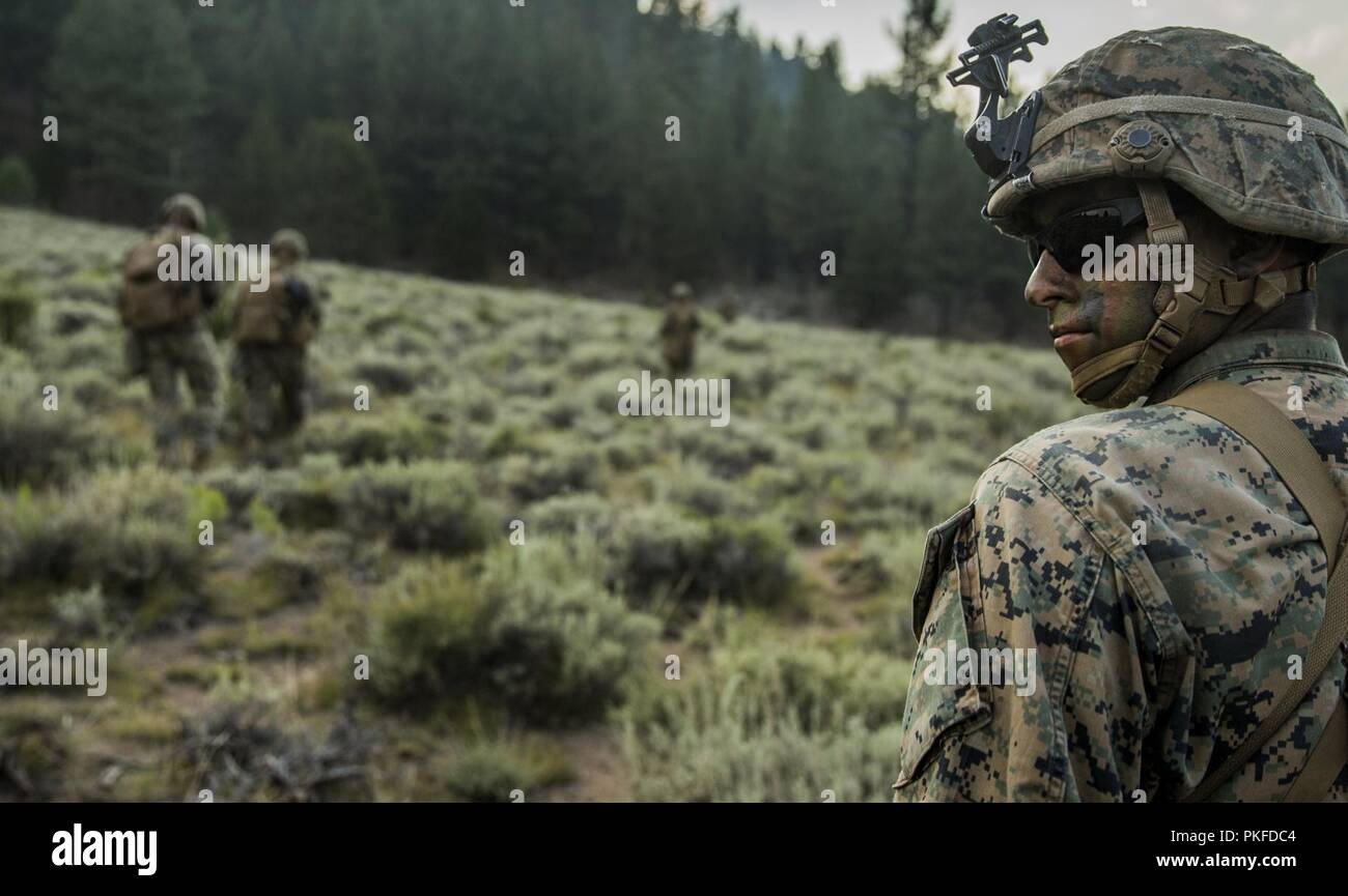 Marine Corps Mountain Warfare Training Center Bridgeport, CA - lance le Cpl. Phillip Strong, un carabinier avec la Compagnie India, 3e Bataillon, 5e Régiment de Marines, 1 Division de marines, participe à une randonnée en montagne d'entraînement (MTX) 4-18 Centre de formation de la guerre en montagne à bord de Bridgeport, Californie, le 30 juillet 2018. 3e Bn., 5ème marines, ont participé au MTX 4-18 d'évaluer leur capacité à mener leur mission principale tâches essentielles avant de fixer à la 11e unité expéditionnaire de Marines pour son déploiement à venir. Banque D'Images