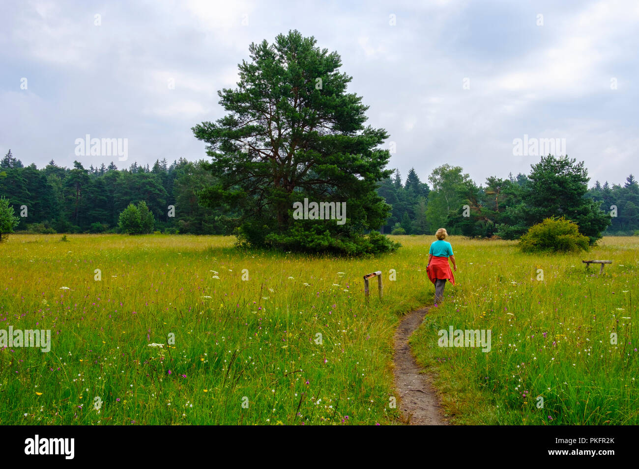 Female hiker dans Königsbrunner Heide, Augsburg, souabe, Bavière, Allemagne Banque D'Images Female hiker dans Königsbrunner Heide, Augsburg, souabe, Bavière, Allemagne Banque D'Images