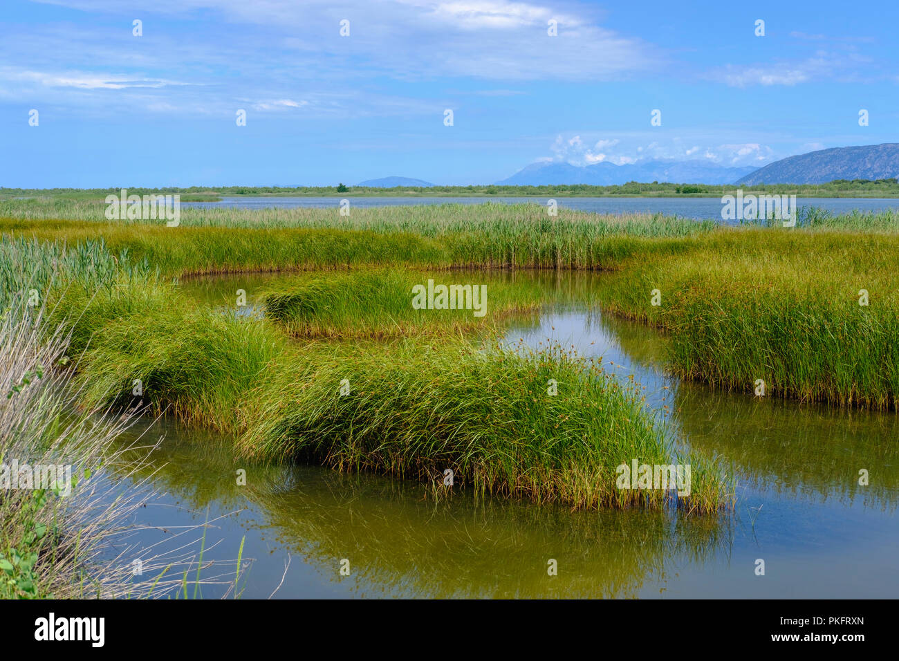 Lagoon, Kune-Vain-Conte Nature Reserve, côte Adriatique, Qar Lezha, Albanie Banque D'Images