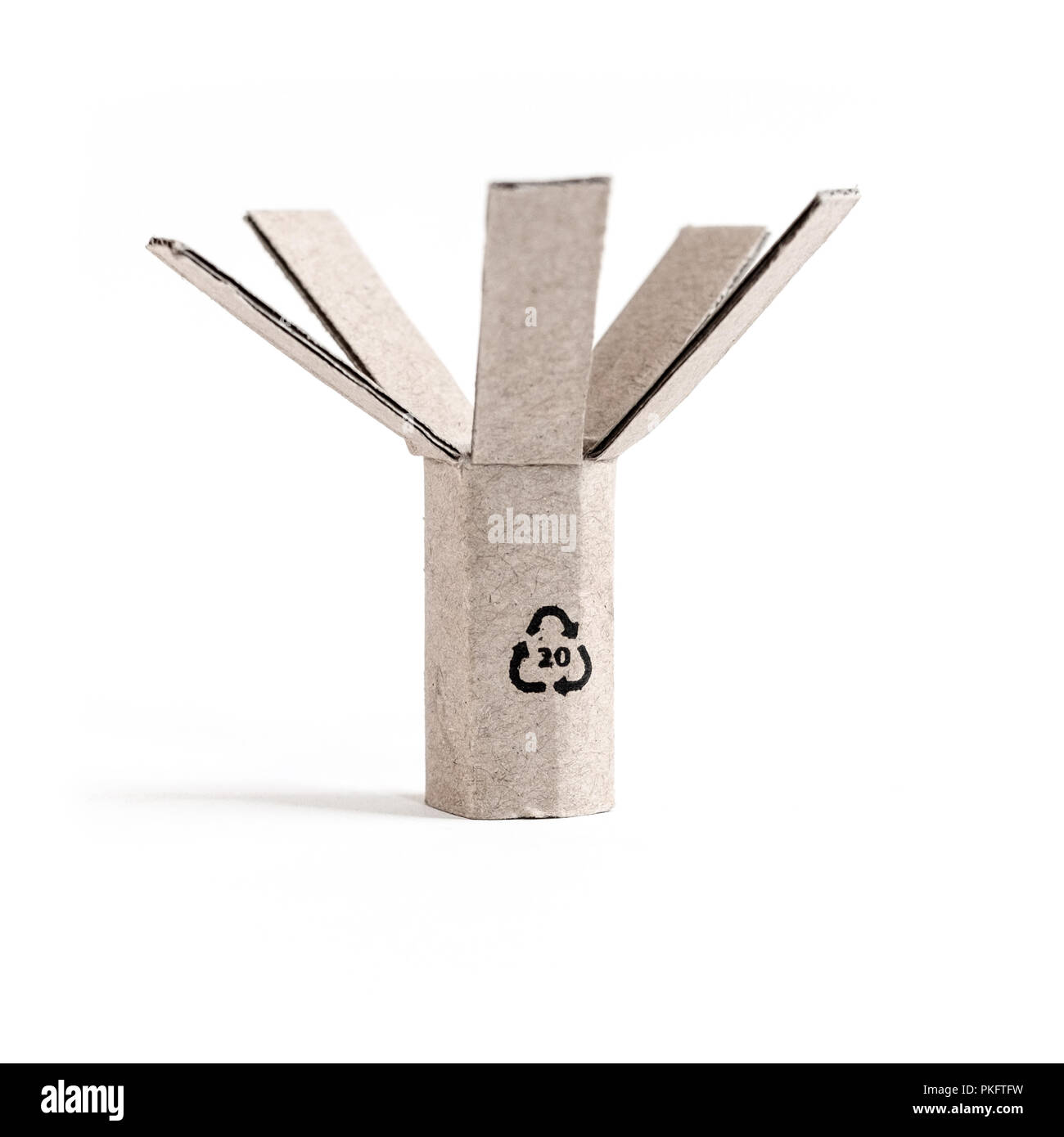 Symbole de recyclage sur un carton en forme d'un arbre Banque D'Images