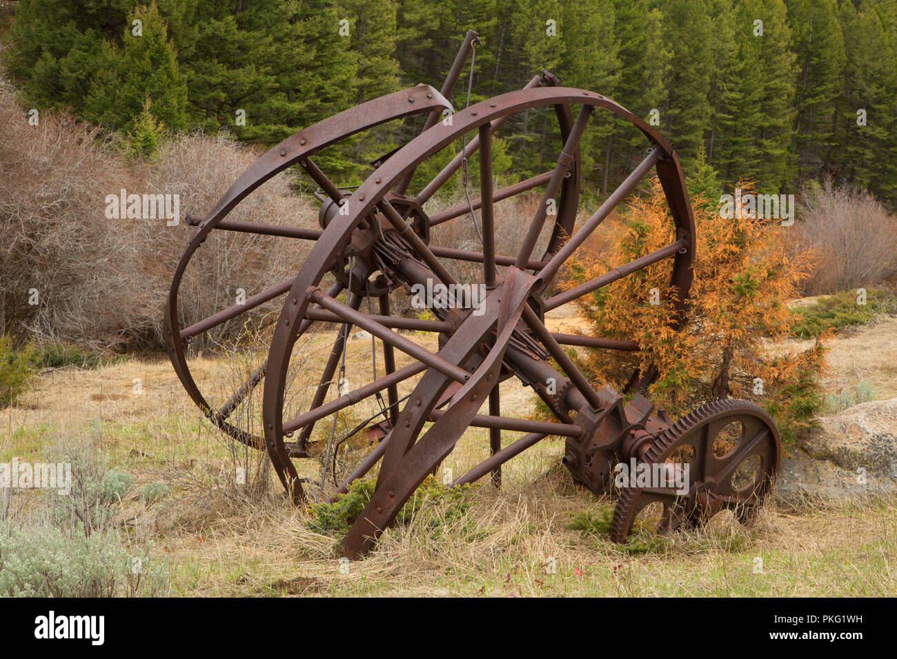 Ruines de l'exploitation minière, Elkhorn, Beaverhead-Deerlodge National Forest, Montana Banque D'Images