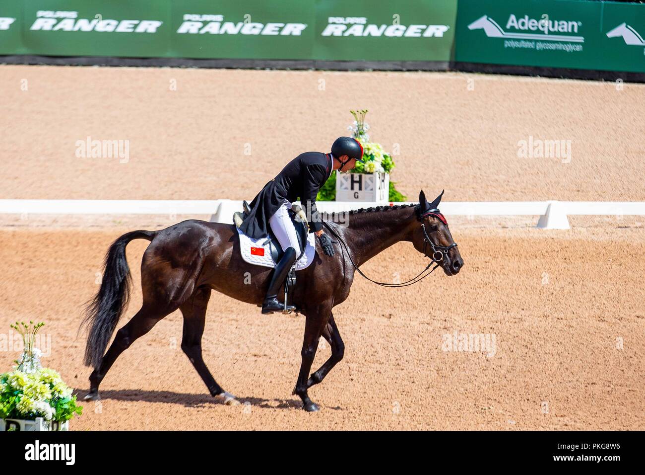 Tryon, North Carolina, USA. 13Th Sep 2018. Alex Hua Tian équitation Ballytiglea Vivendi. Le RCS. Le concours complet Dressage. Jour 3. Les Jeux équestres mondiaux. WEG 2018 Tryon. La Caroline du Nord. USA. 13/09/2018. Credit : Sport en images/Alamy Live News Banque D'Images