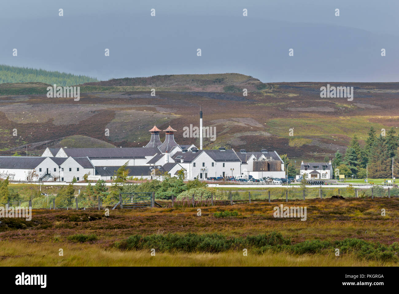 La distillerie de whisky DALWHINNIE ÉCOSSE EN SOLEIL AVEC HEATHER ET HERBES D'AUTOMNE Banque D'Images