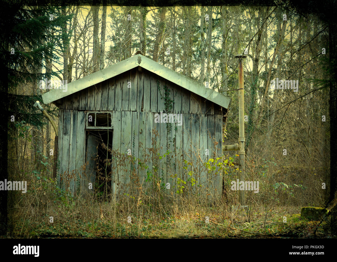 Belle photo d'une ancienne maison en bois au milieu d'une forêt , Auvergne, France Banque D'Images