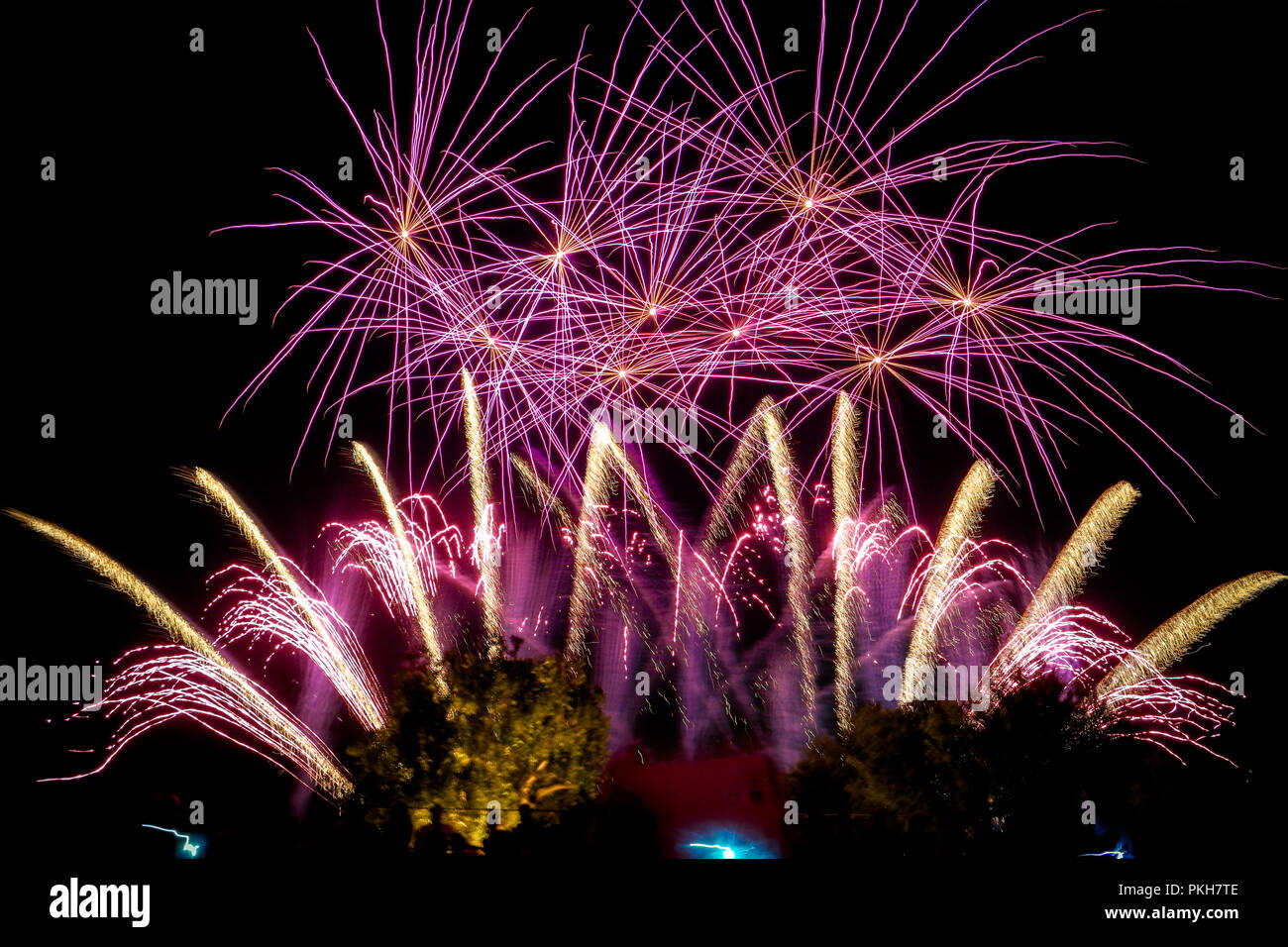 Colorful fireworks at night Banque D'Images