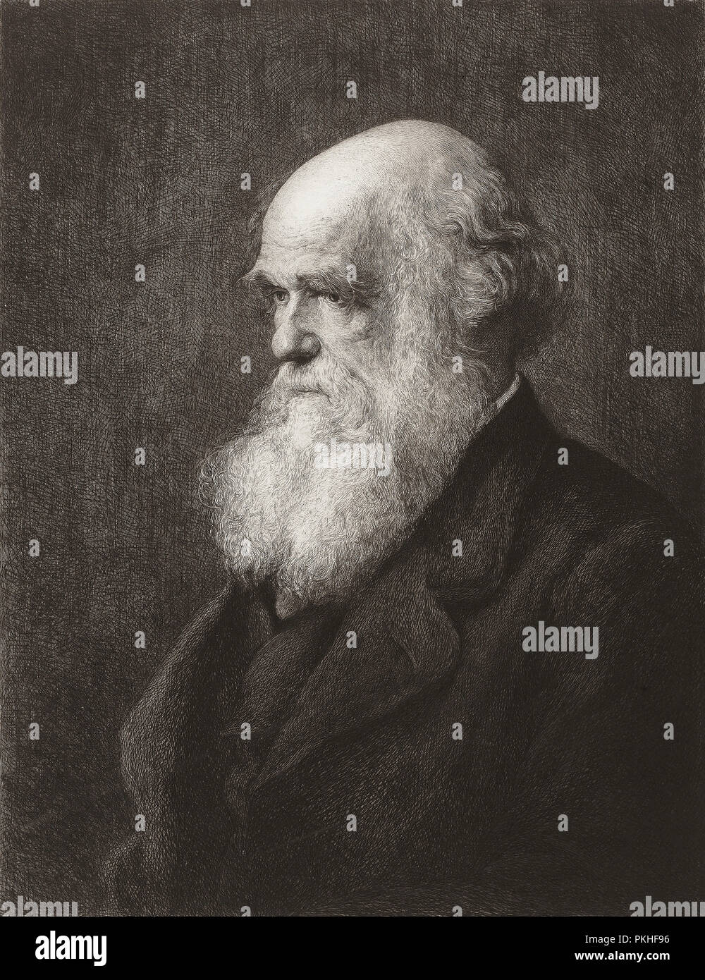 Charles Robert Darwin, 1809 - 1882. L'écrivain et naturaliste anglais. D'une gravure de Paul Adolphe Rajon, après Walter William Ouless. Banque D'Images