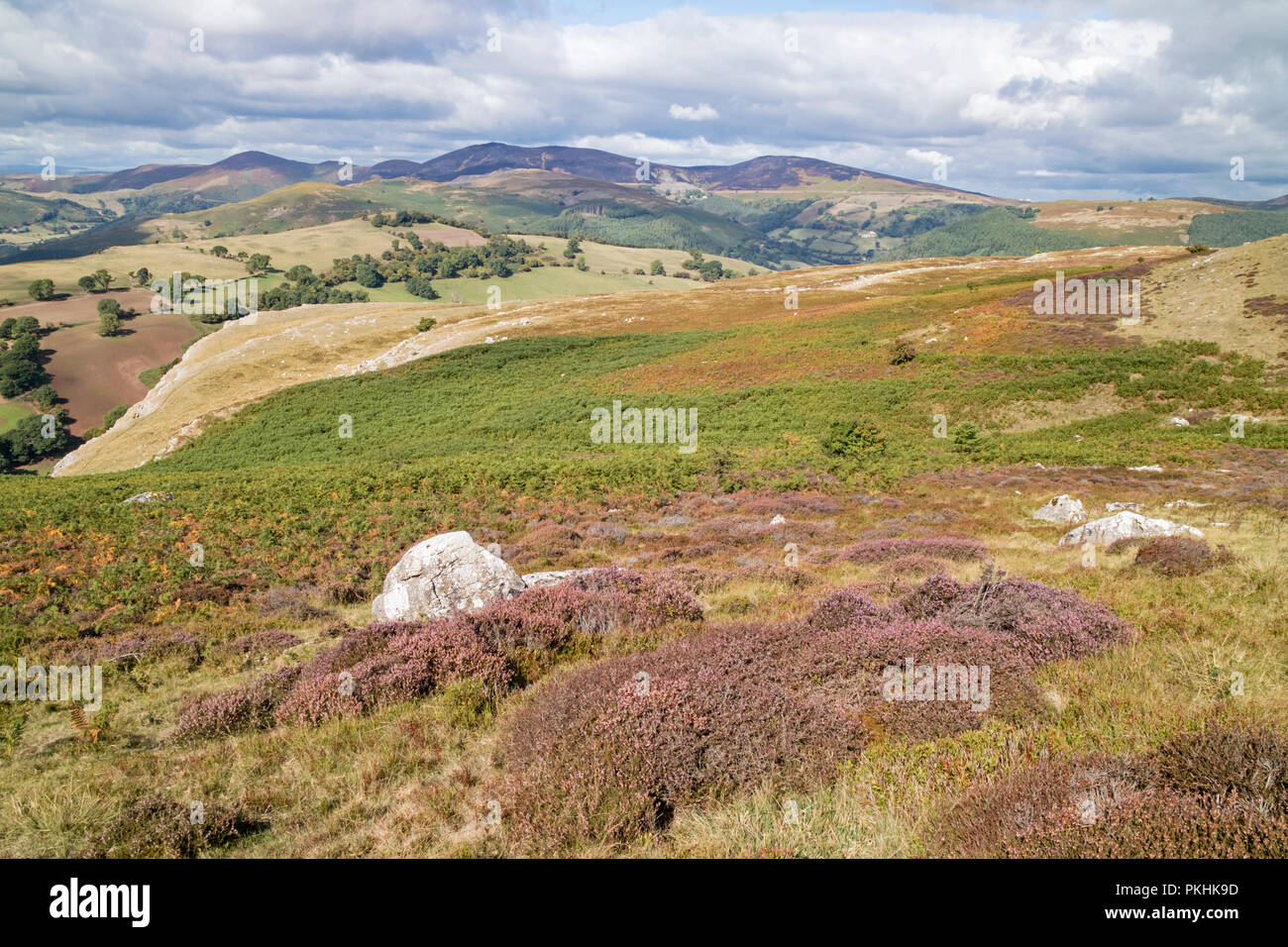 Vue vers le nord à partir de l'Escarpement du Eglwyseg Dee Valley et la vallée de Llangollen, Wales, UK Banque D'Images