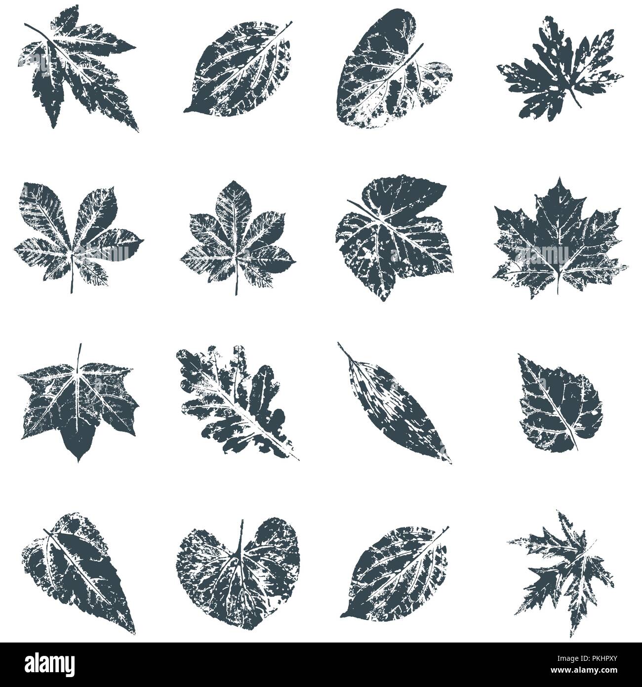 Imprimer La Feuille De Scenario Inkprinted Des Feuilles Des Arbres Sur Papier Image Vectorielle Stock Alamy Imprimer La Feuille De Scenario Inkprinted Des Feuilles Des Arbres Sur Papier Image Vectorielle Stock Alamy