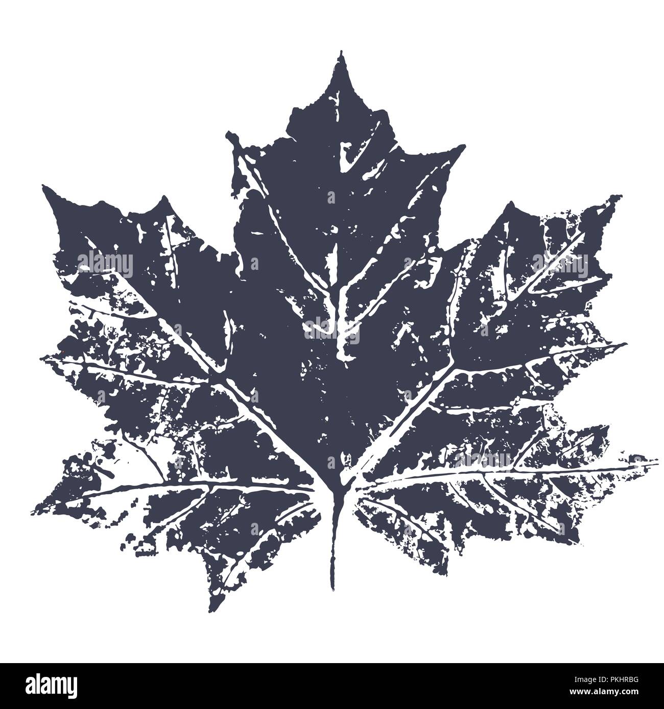 Imprimer La Feuille D Erable Vecteur Inkprinted Des Feuilles Des Arbres Sur Papier Image Vectorielle Stock Alamy Imprimer La Feuille D Erable Vecteur Inkprinted Des Feuilles Des Arbres Sur Papier Image Vectorielle Stock Alamy