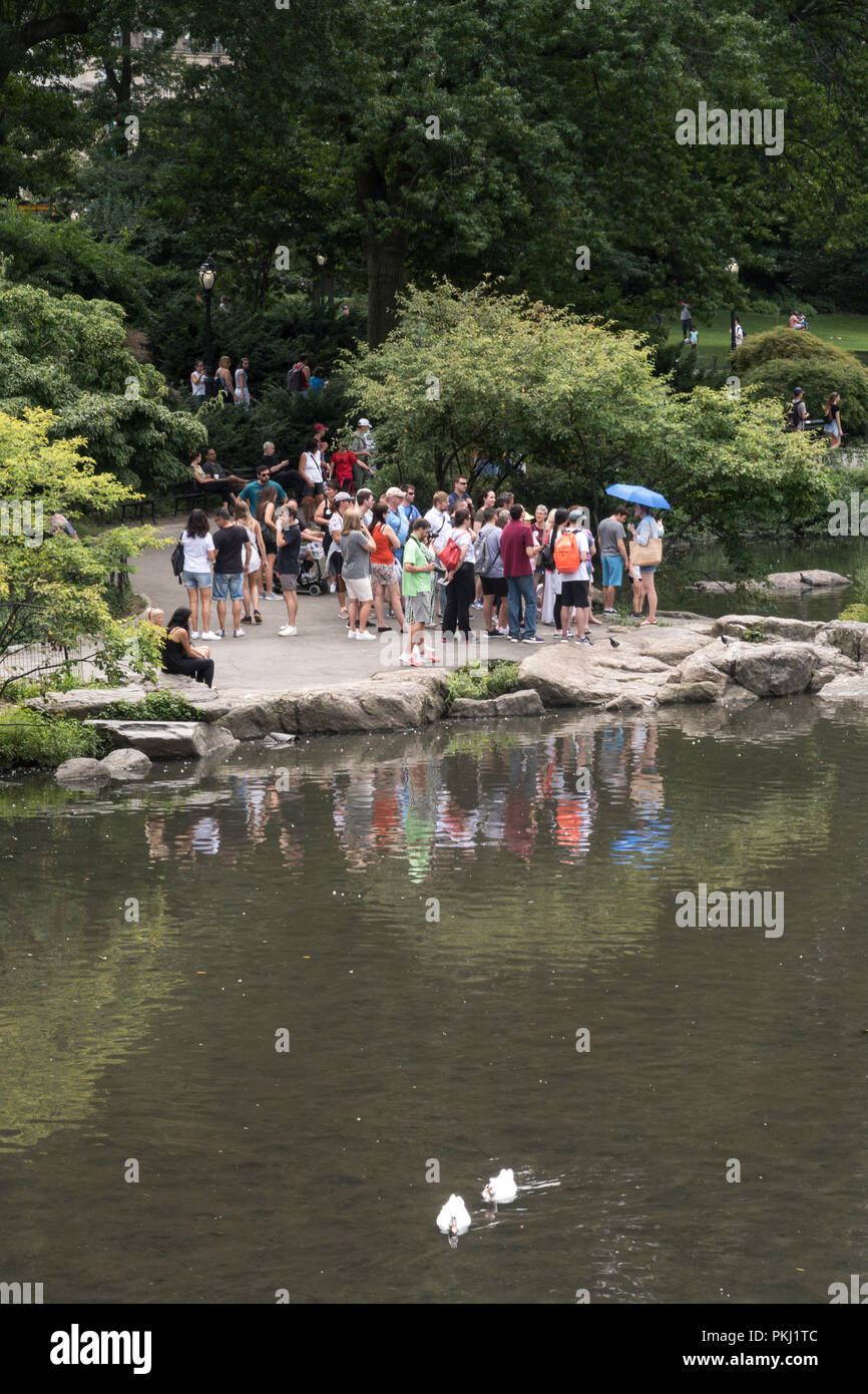 Tour de groupe visite l'étang dans Central Park, NYC, USA Banque D'Images