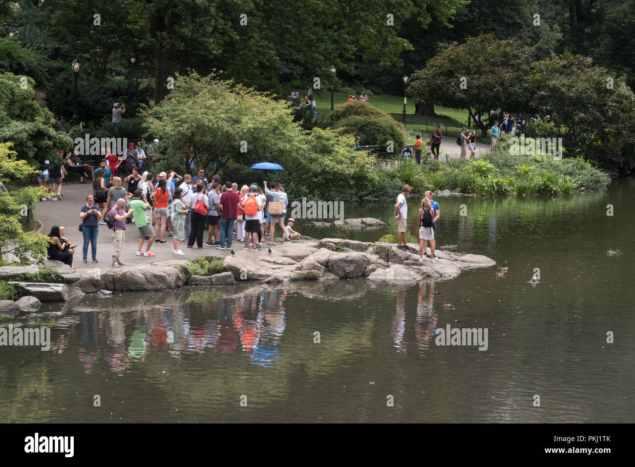 Tour de groupe visite l'étang dans Central Park, NYC, USA Banque D'Images