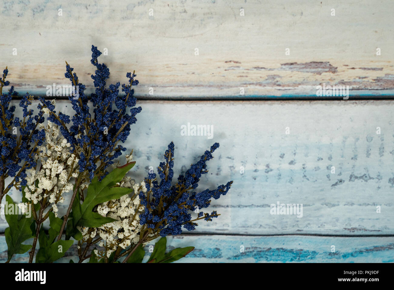 Jolies fleurs bleues et du bébé et souffle sur un fond de bois de rose. L'abondance de l'espace de copie Banque D'Images