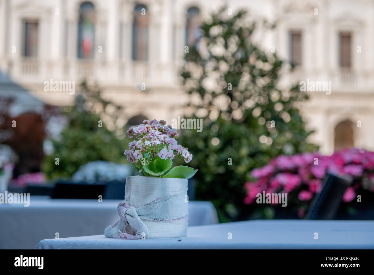 Vase de fleurs sur la table Banque D'Images