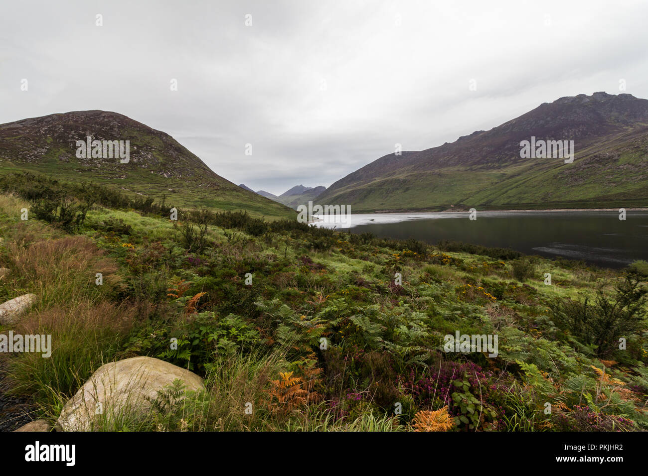 Réservoir de la vallée silencieuse délimitée par Slievenaglogh sur la montagne à gauche (ouest) et Slieve Binnian sur la droite (est). Les montagnes de Mourne, comté de Down, Irlande du Nord. Banque D'Images