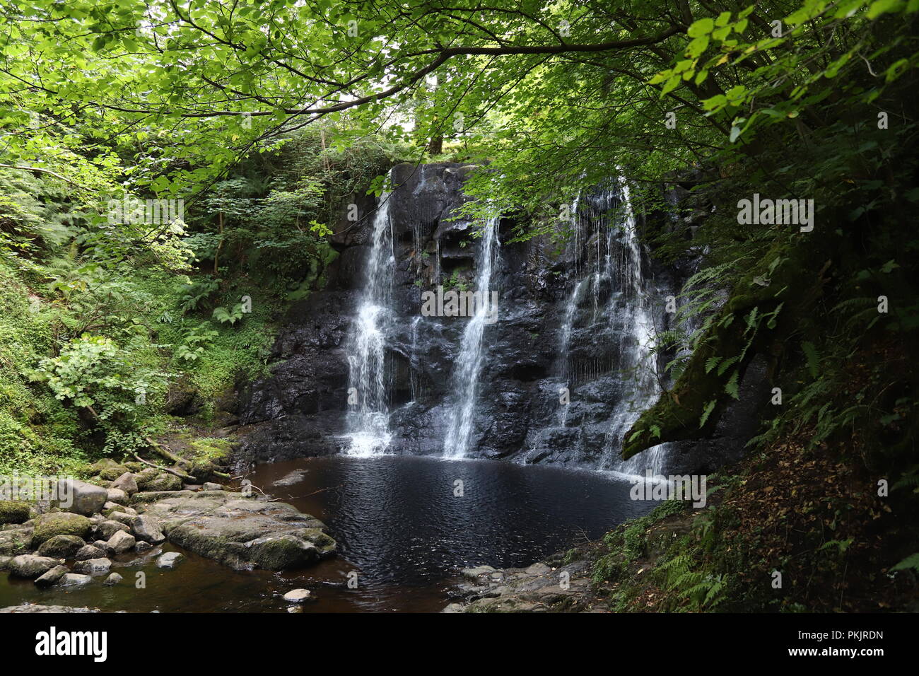 Glenariff, Reine des Glens, est l'un des neuf Glens d'Antrim. Glenariff Forest Park couvre +1,000 hectares avec lacs, forêts et zones de loisirs. Banque D'Images