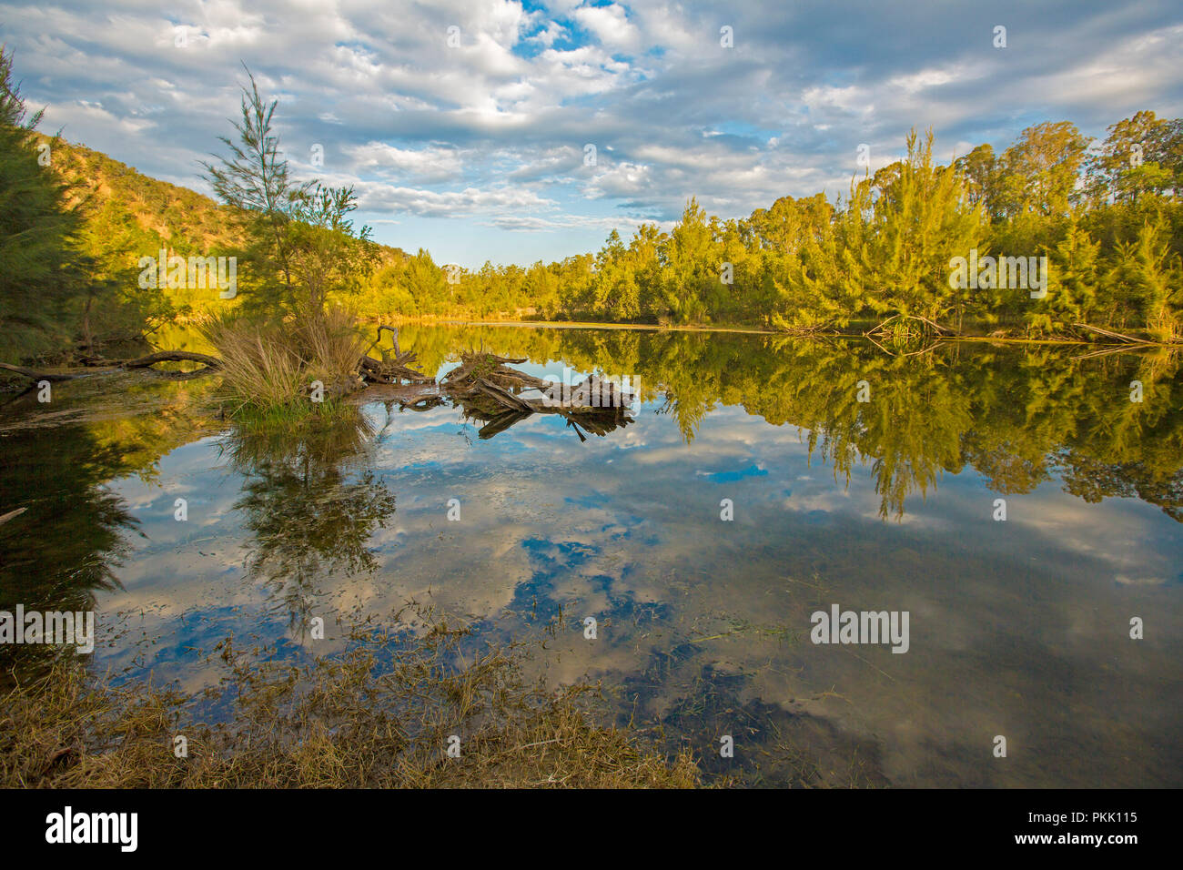 Paysage de l'Australie avec la forêt et ciel bleu barbouillé de nuages reflétée dans un miroir parfait de surface dans la rivière Macleay EN IN Banque D'Images