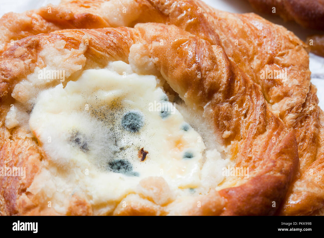 La moisissure sur le fromage danois (aliments moisis, aliments moisis, nourriture moule) Banque D'Images