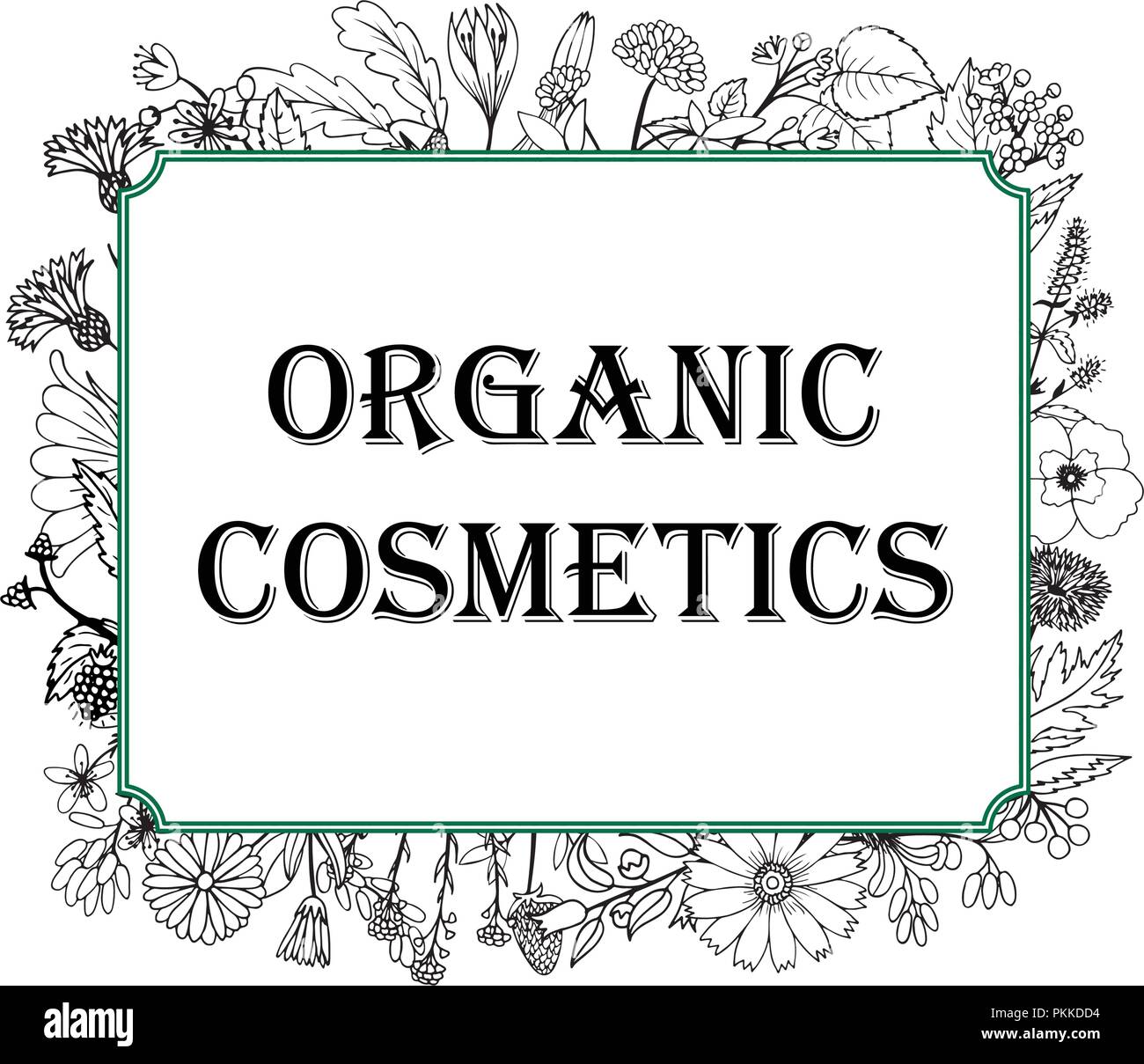 Le noir et blanc illustration dans un cadre avec les herbes médicinales pour les cosmétiques biologiques. Illustration de Vecteur