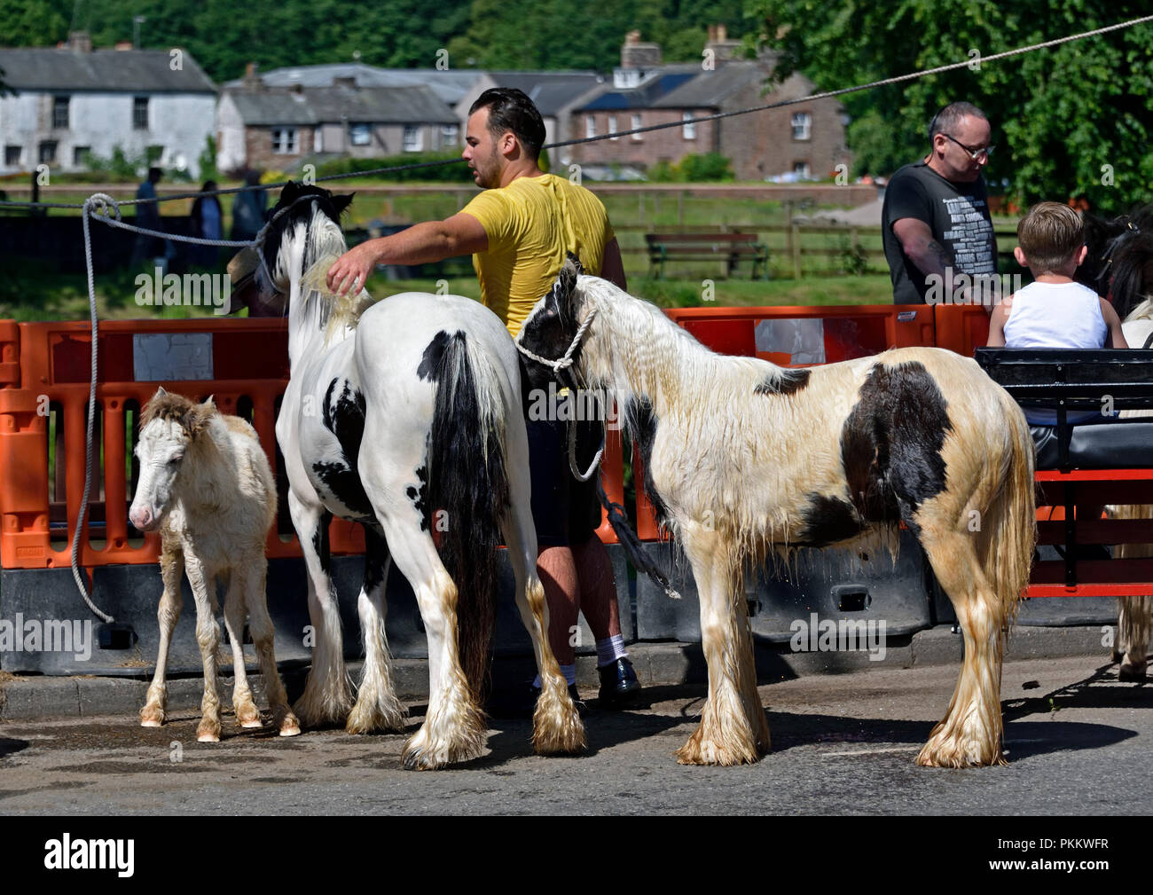 Gypsy traveller avec épis colorés. Appleby Horse Fair 2018. Appleby-in-Westmorland, Cumbria, Angleterre, Royaume-Uni, Europe. Banque D'Images