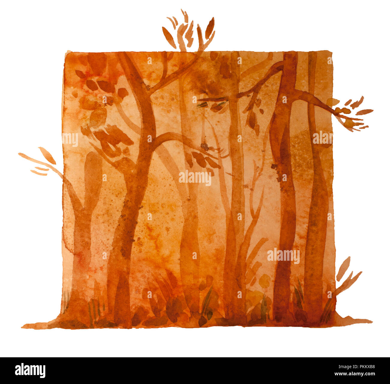 Aquarelle forêt d'automne, orange profond isolé illustration woods Banque D'Images