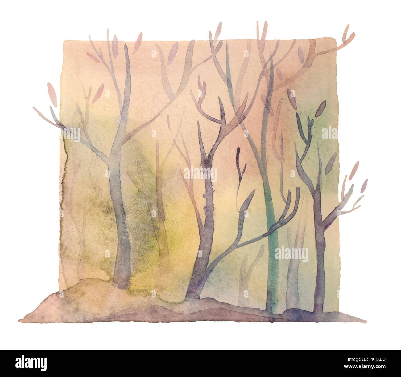 Aquarelle forêt magique, mystique profonde illustration bois isolés Banque D'Images