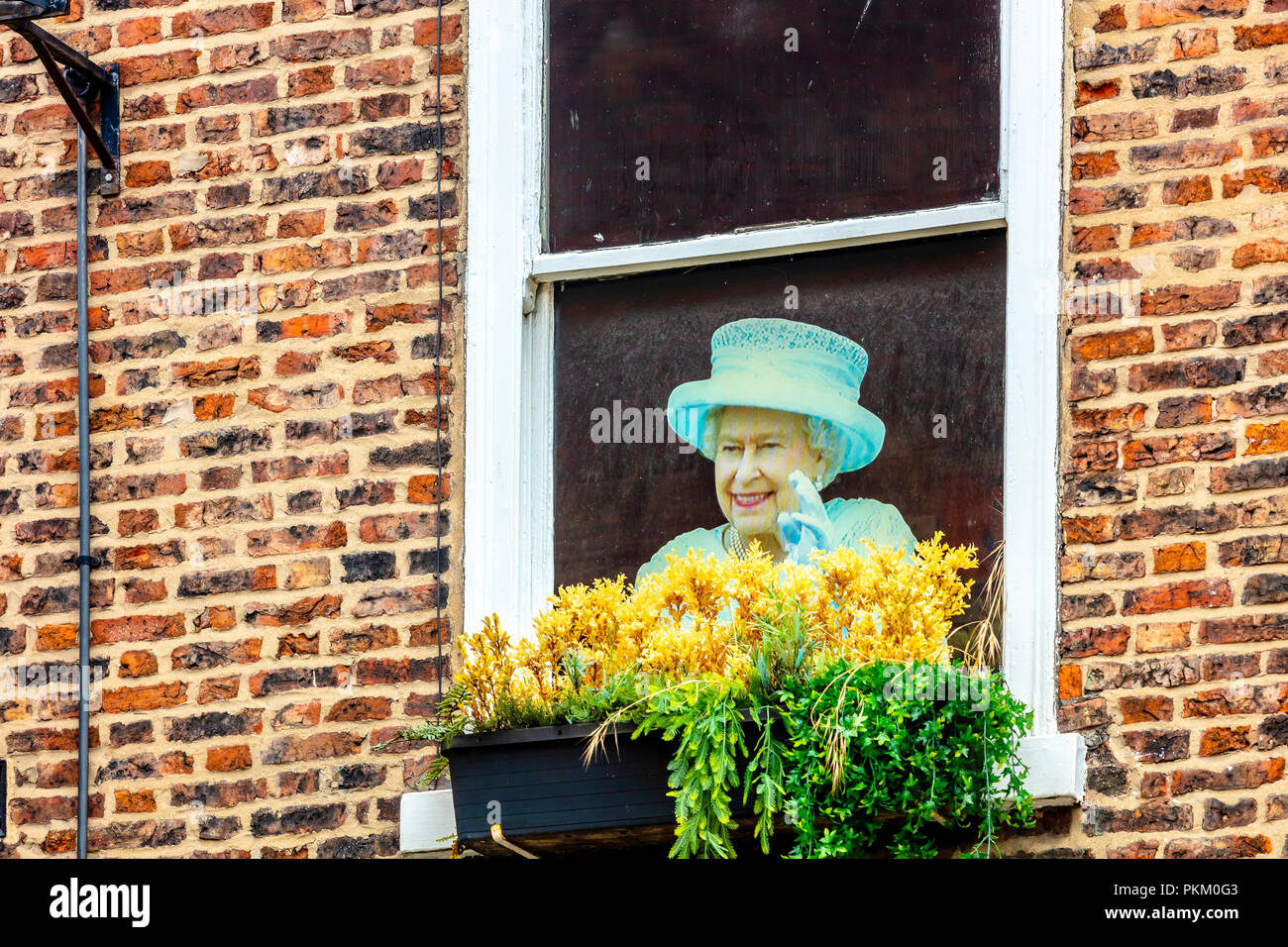 Image drôle de la reine Elizabeth II à Thomas d'York pub, York UK Banque D'Images