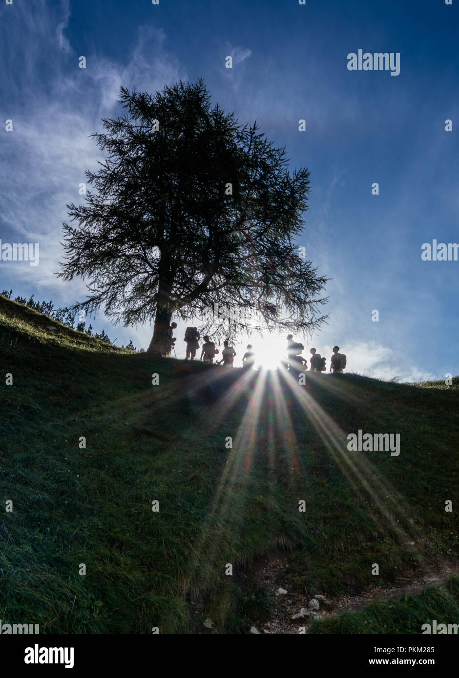 De nombreux randonneurs groupe de prendre une pause et se reposer sous un arbre en silhouette avec le soleil briller à travers eux Banque D'Images