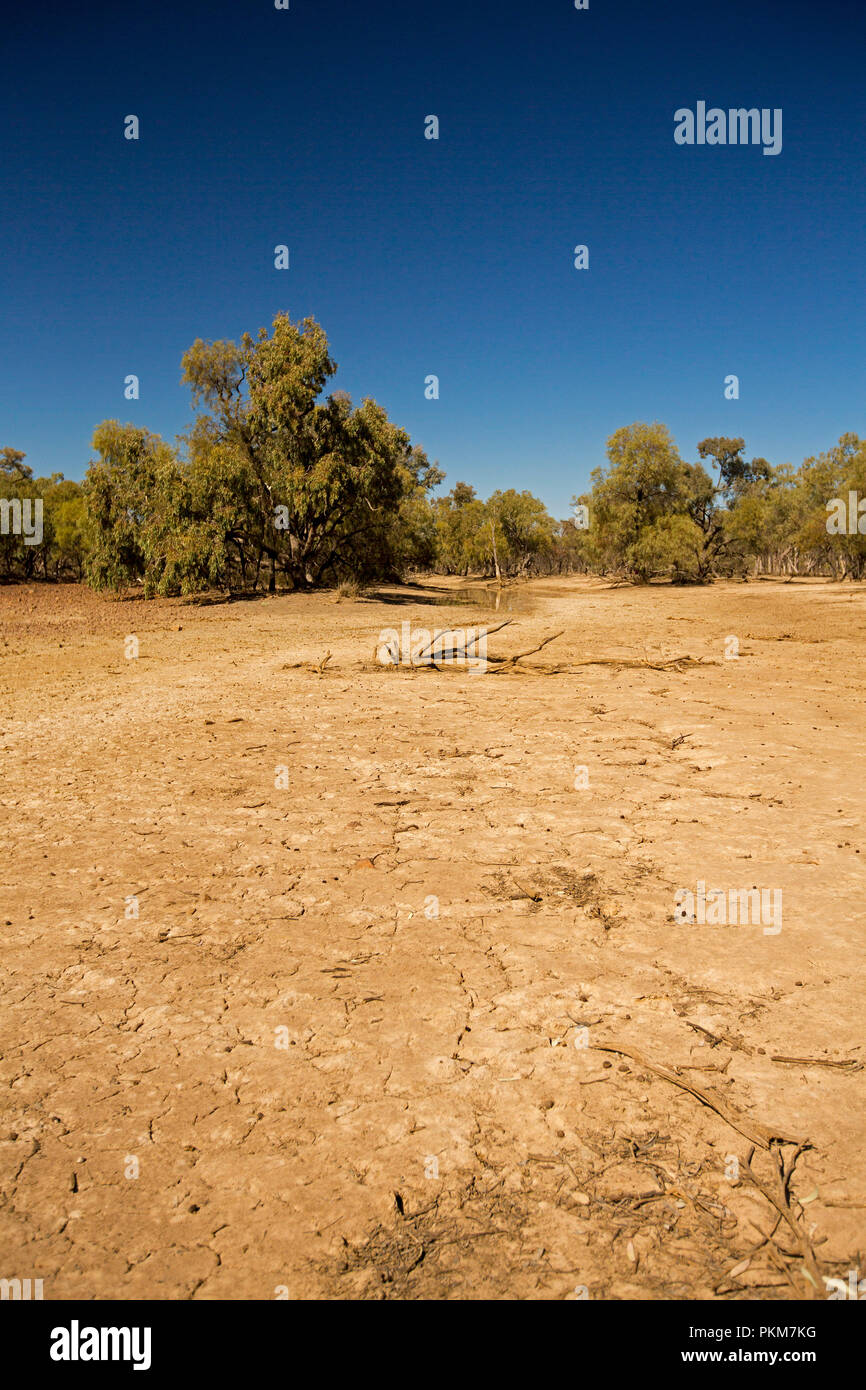 Australian Outback paysage pendant la sécheresse avec Creek dans le parc national réduit à flaque boueuse et ourlé à la masse fissurée sous ciel bleu Banque D'Images