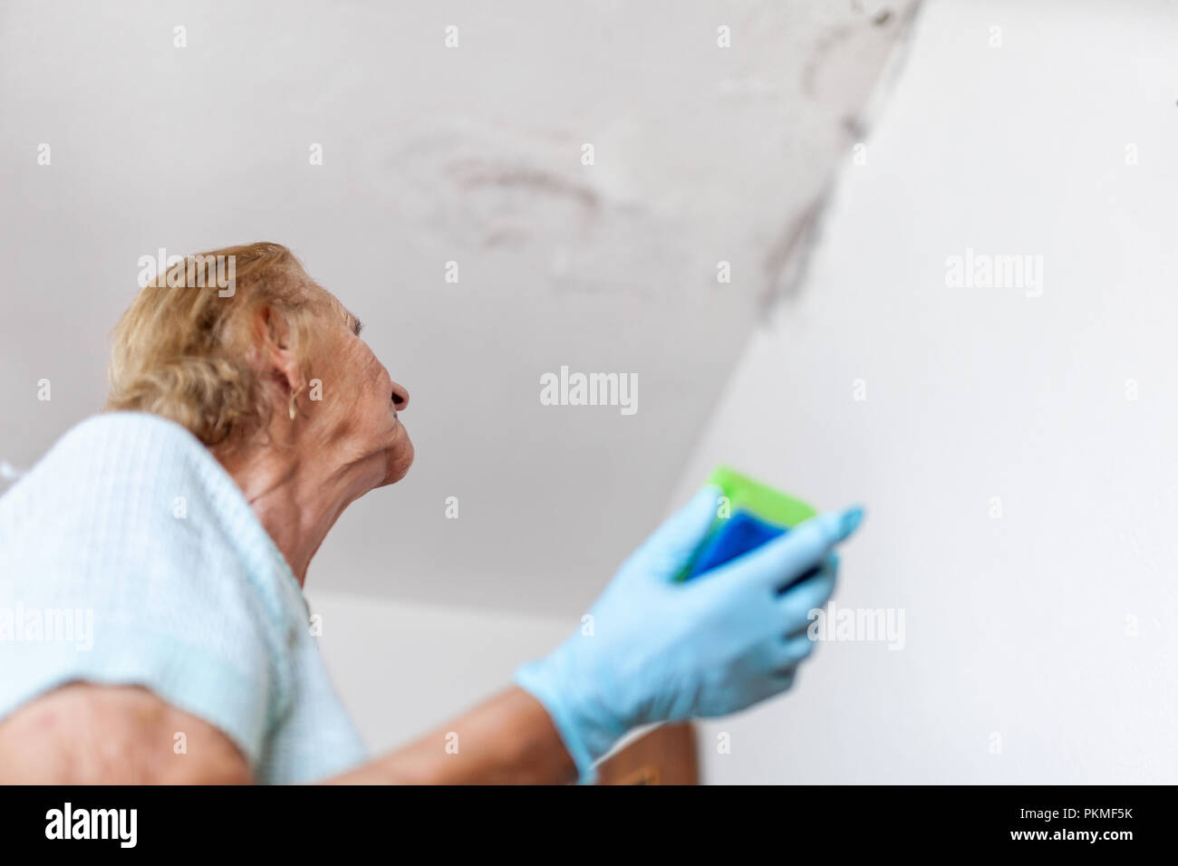 Nettoyer les champignons dangereux à partir d'un mur humide après la fuite  d'eau à la maison Photo Stock - Alamy