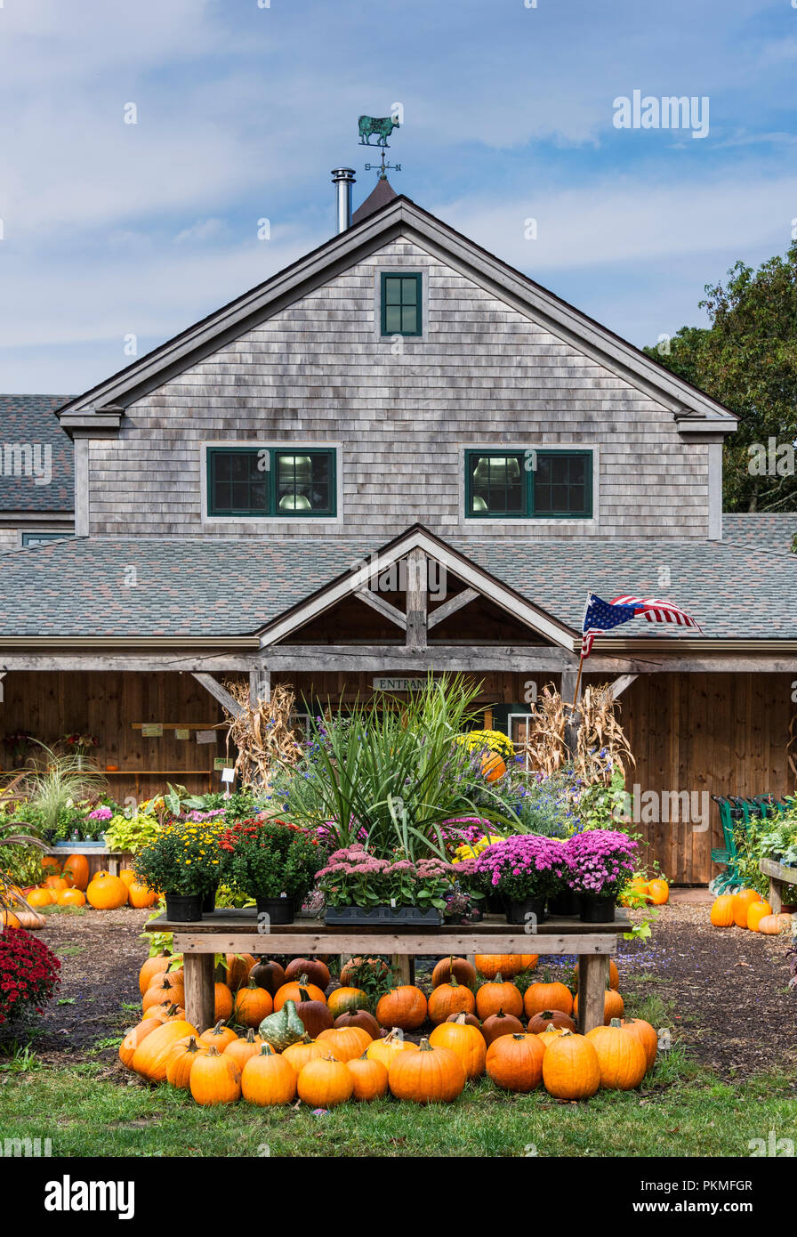 Affichage de l'automne, Morning Glory Farm stand, Edgartown, Martha's Vineyard, Massachusetts, USA. Banque D'Images