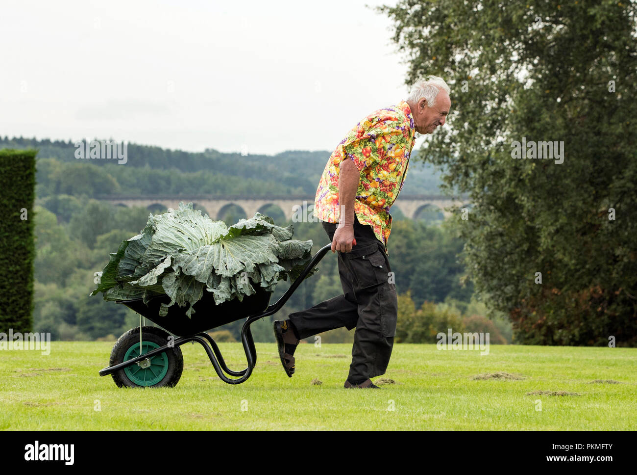 Ian Neale avec sa victoire dans la catégorie la plus lourde chou géant pesant 30.2kg au cours de la compétition de légumes géants à la Harrogate Automne Flower Show au Yorkshire. Banque D'Images