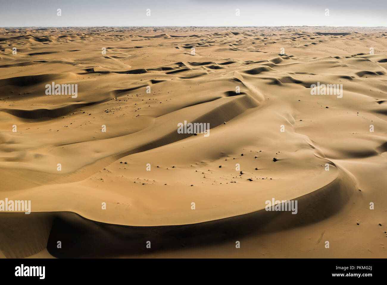 Dunes de sable dans le désert du Namib, région d'Erongo, Namibie Banque D'Images