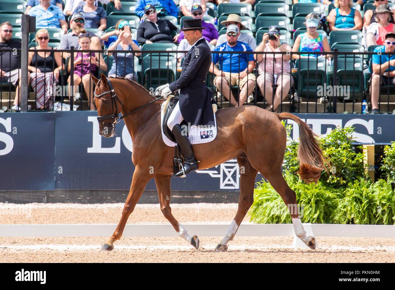 Tryon, USA. 14 septembre 2018. William Levett. Lassban Diamond Ascenseur. AUS. Le concours complet Dressage. Jour 4. Les Jeux équestres mondiaux. WEG 2018 Tryon. La Caroline du Nord. USA. 14/09/2018. Credit : Sport en images/Alamy Live News Banque D'Images