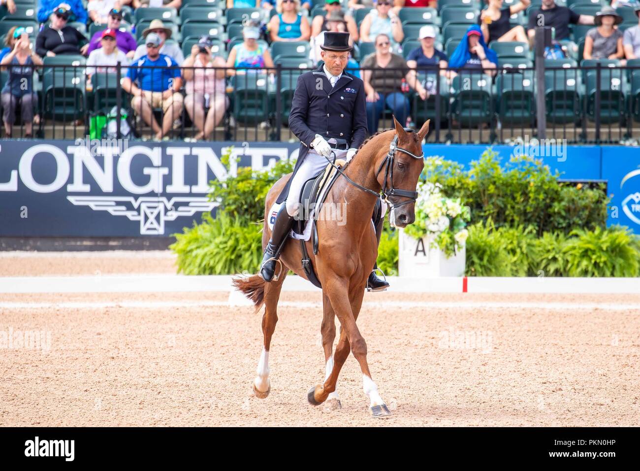 Tryon, USA. 14 septembre 2018. William Levett. Lassban Diamond Ascenseur. AUS. Le concours complet Dressage. Jour 4. Les Jeux équestres mondiaux. WEG 2018 Tryon. La Caroline du Nord. USA. 14/09/2018. Credit : Sport en images/Alamy Live News Banque D'Images