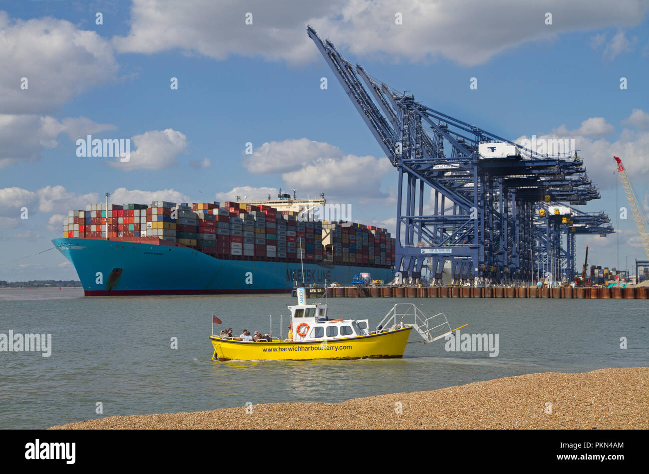 Le Port de Harwich Ferry au départ de Felixstowe pied tandis qu'un grand porte-conteneurs l'Eugen Maersk docks dans l'arrière-plan. Banque D'Images
