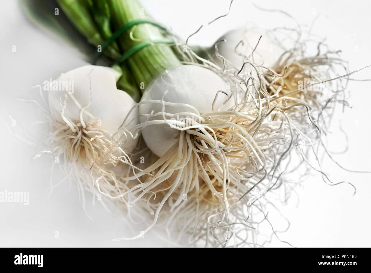 Pour la cuisson des oignons dans une cuisine Banque D'Images