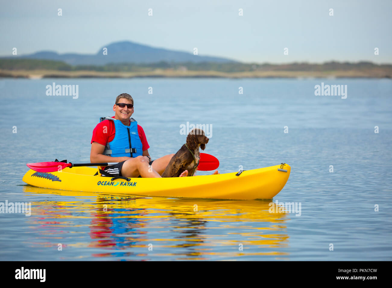 Homme assis dans un kayak jaune vif au bord de la mer avec son chien obéissant assis comme mascotte du bateau : un homme et son chien en vacances. Banque D'Images