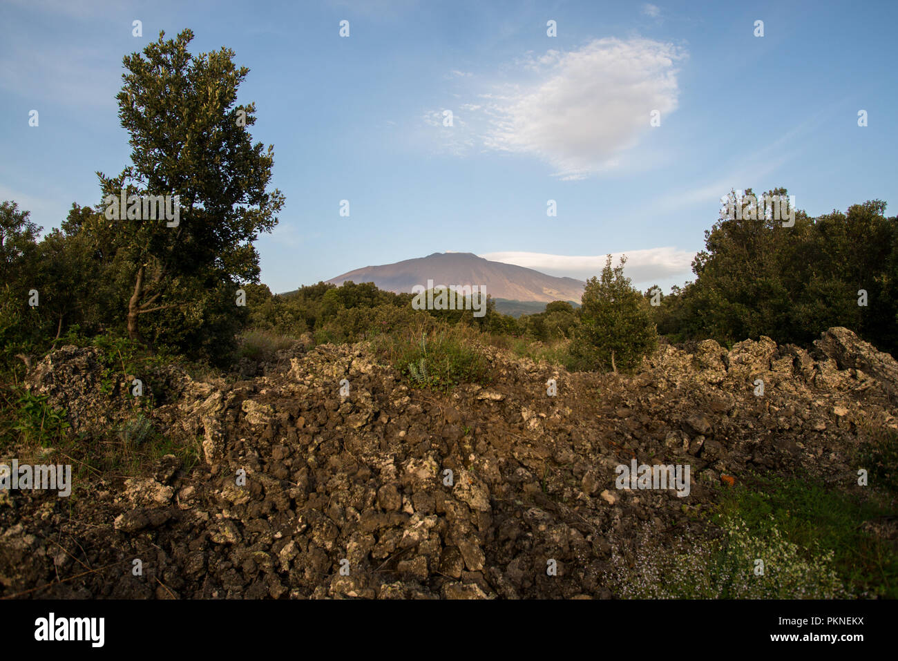 Vulkan Ätna im Nationalpark Parco dell'Etna auf Sizilien Banque D'Images